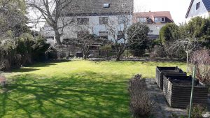 Ein Garten im Frühling mit grünem Gras und Obstbäume beginnen zu blühen.